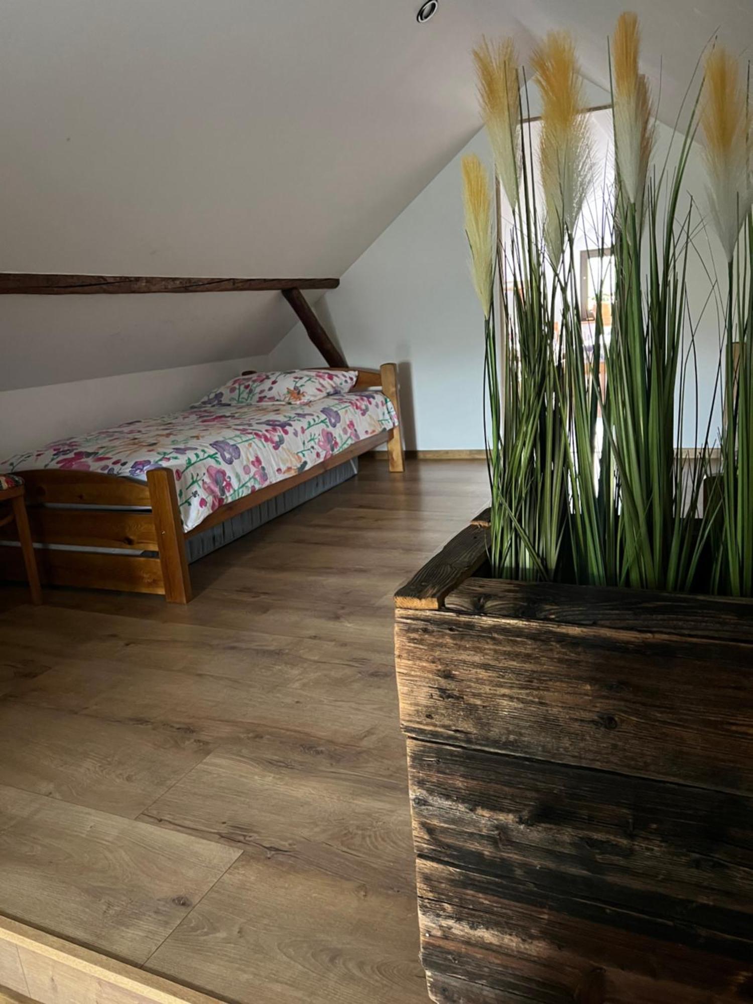 Malinowa Chatka Jankowice  Exteriér fotografie