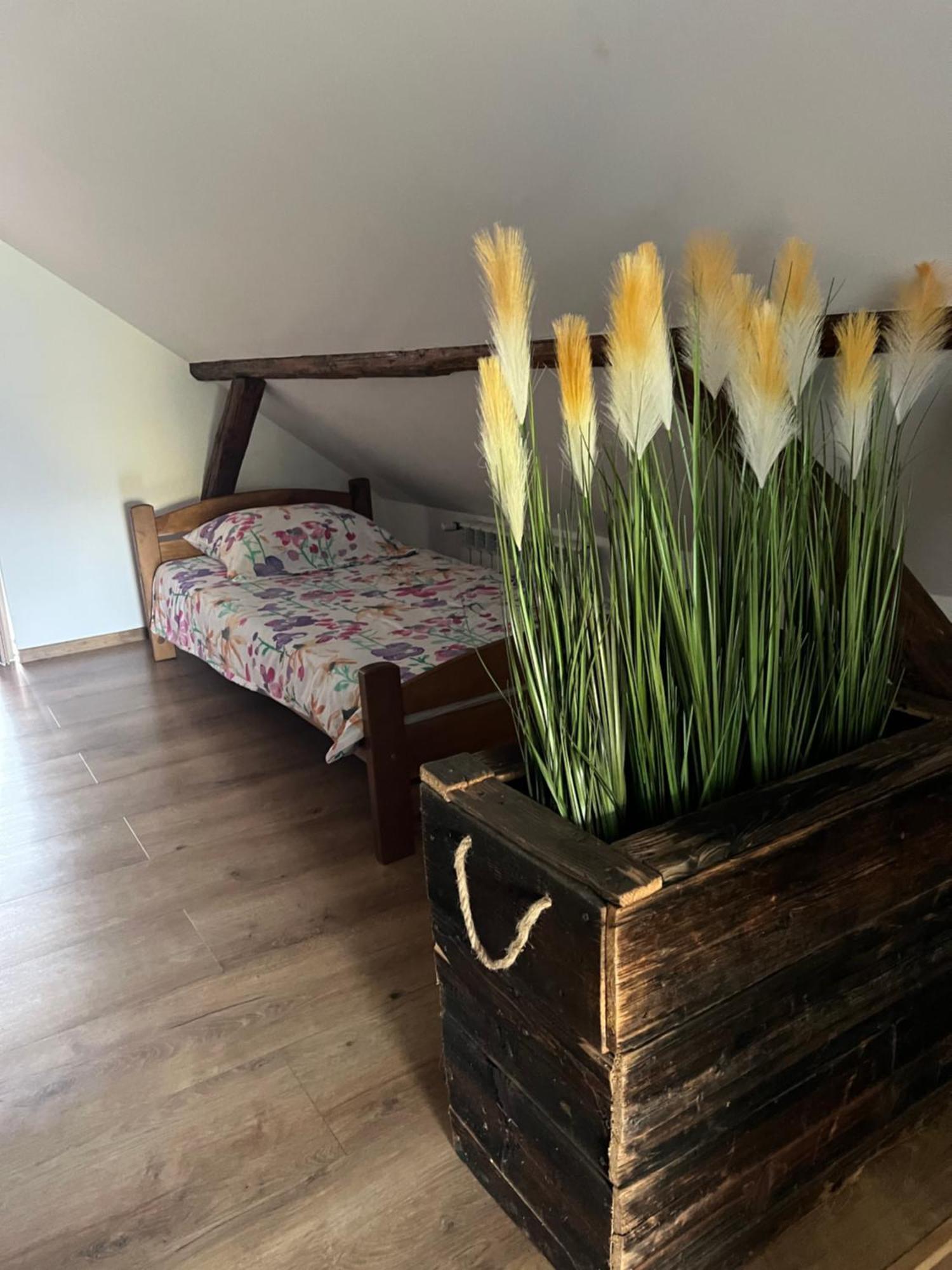 Malinowa Chatka Jankowice  Exteriér fotografie